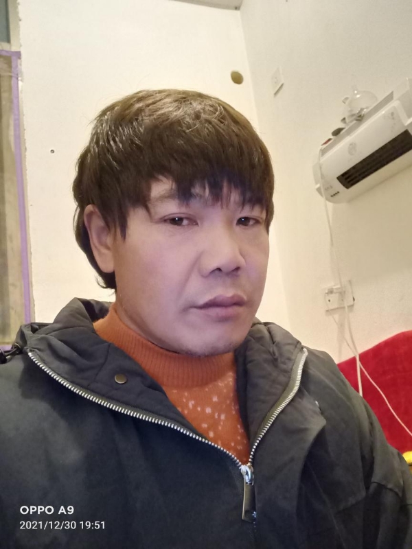 小鸟找窝的第一张照片--清流相亲网